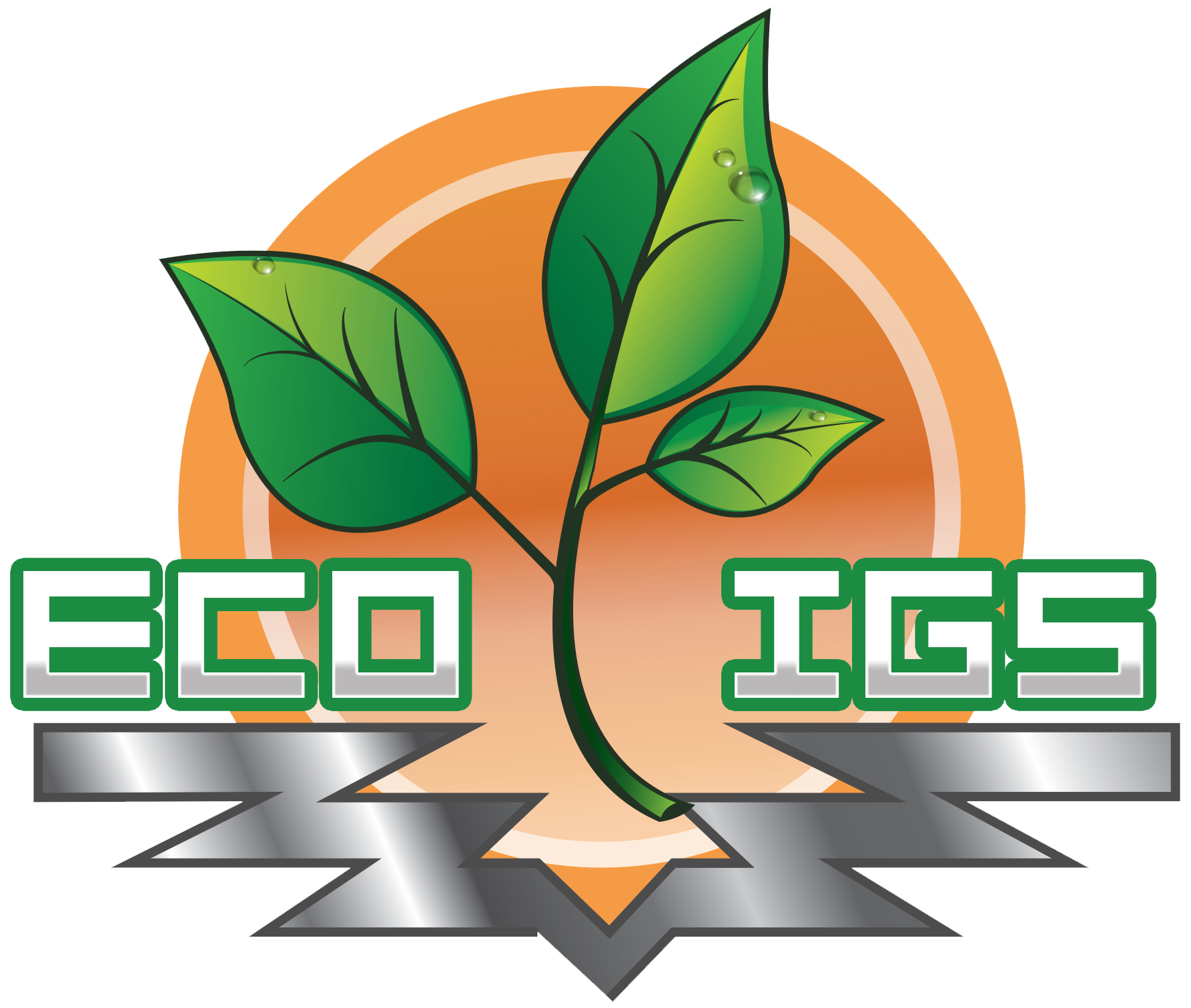 Eco IGS — outdoor lighting, Mooresville NC